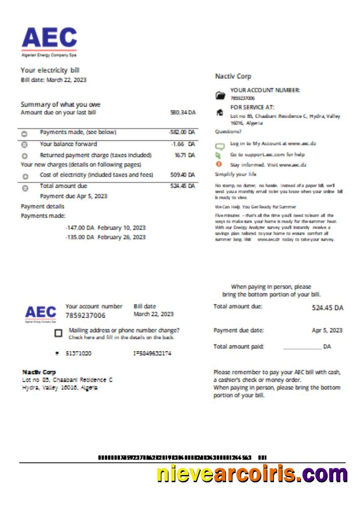 AEC Algerian Energy Company utility business bill